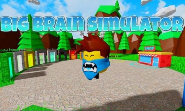 Code Big Brain Simulator Mới Nhất 2024 – Nhập Codes Game Roblox